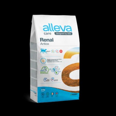 Renal Böbrek Destek Tahılsız Yetişkin Köpek Maması